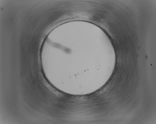 X0000072981516200608211337