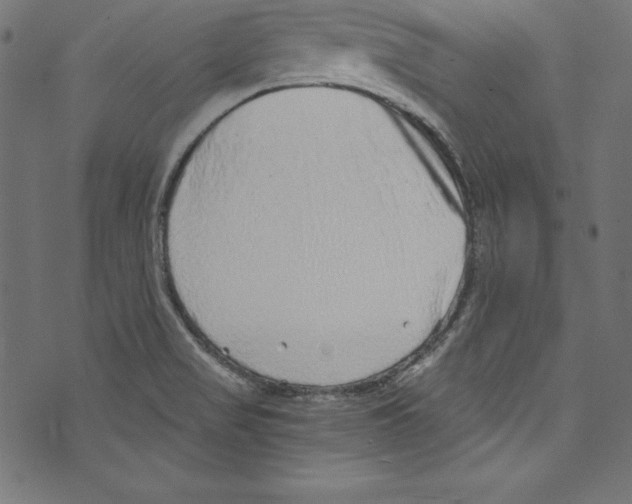 X0000072981517200608211337