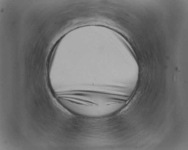 X0000072981518200608211337