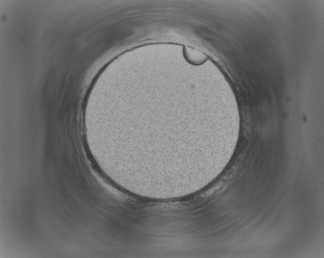 X0000072981519200608211337