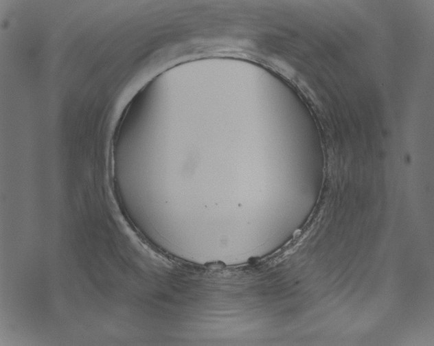 X0000072981520200608211337