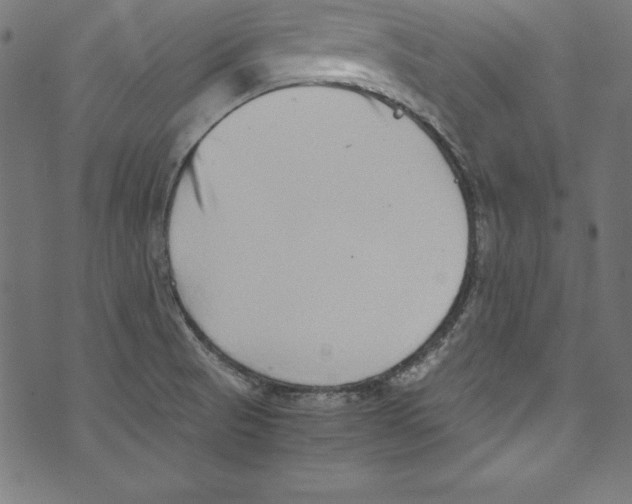 X0000072981521200608211337