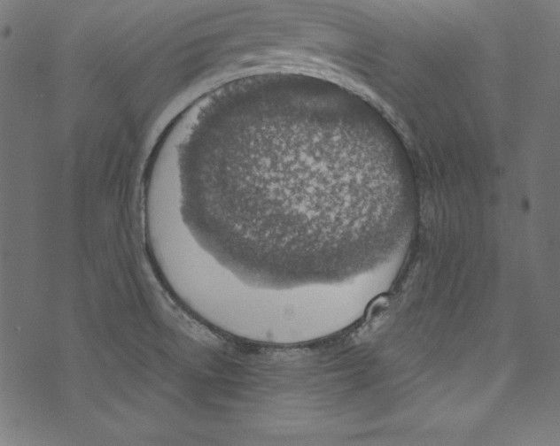 X0000072981522200608211337