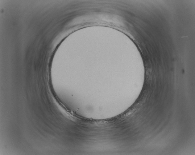 X0000072981523200608211337