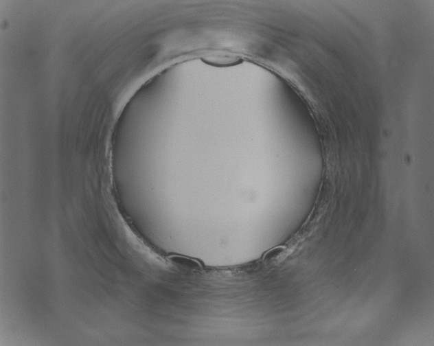 X0000072981524200608211337