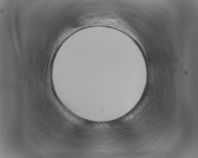 X0000072981525200608211337