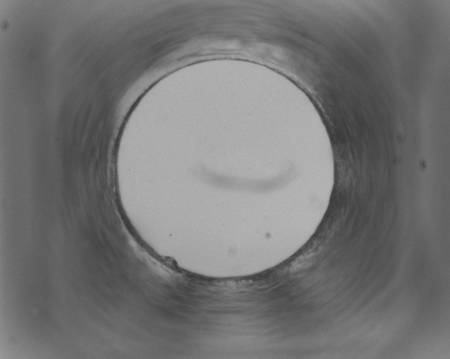 X0000072981527200608211337