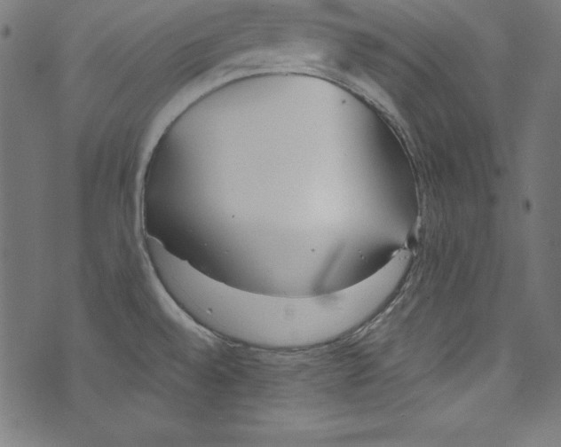 X0000072981528200608211337