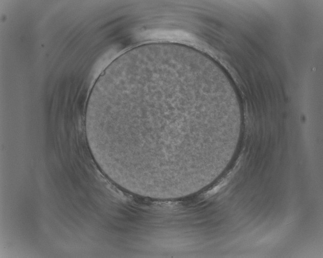 X0000072981529200608211337