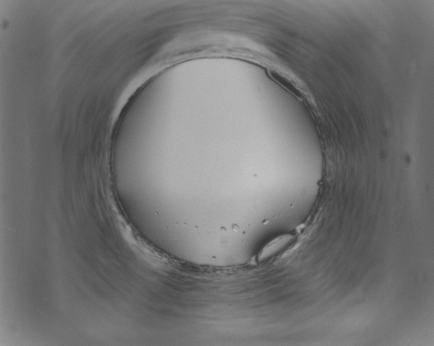 X0000072981530200608211337