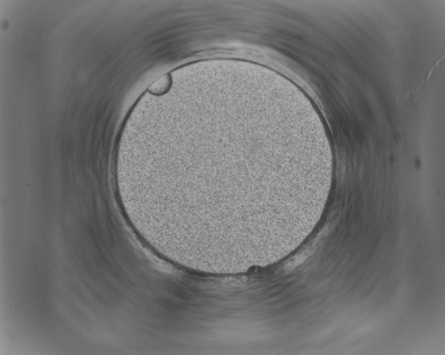 X0000072981533200608211337