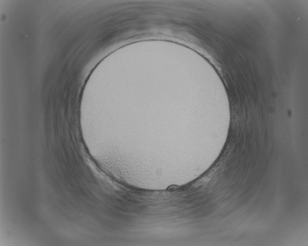 X0000072981534200608211337