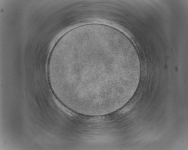 X0000072981535200608211337