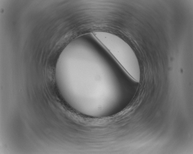X0000072990044200607211042