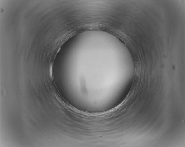 X0000072990047200607211042