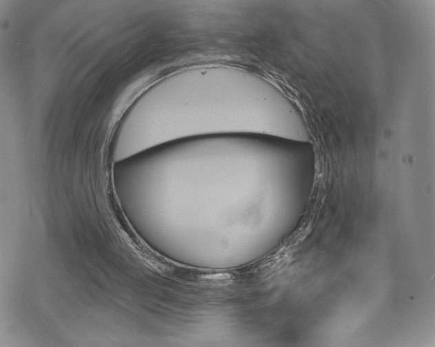X0000072990053200607211041