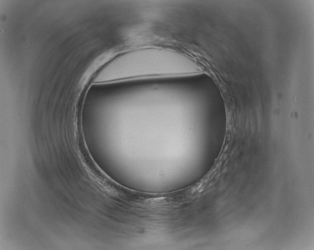X0000072990054200607211041