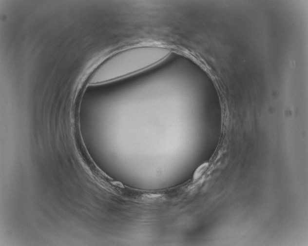 X0000072990055200607211041