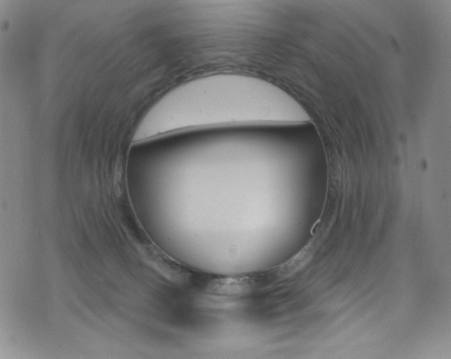 X0000072990082200607211041