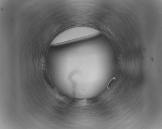 X0000072990083200607211042
