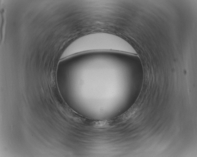 X0000072990088200607211042