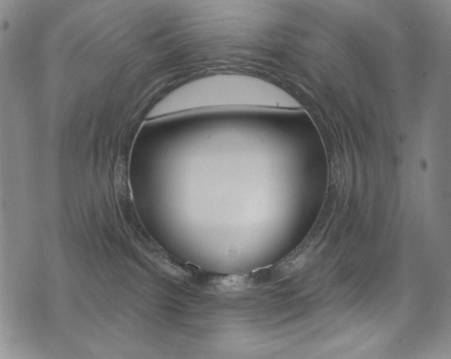 X0000072990092200607211042