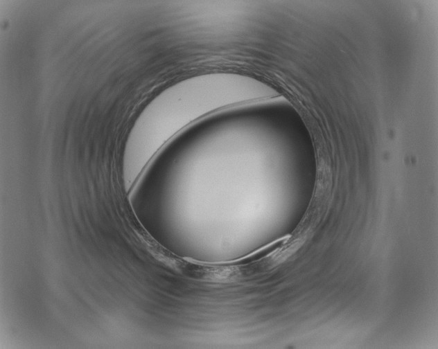 X0000072990096200607211042