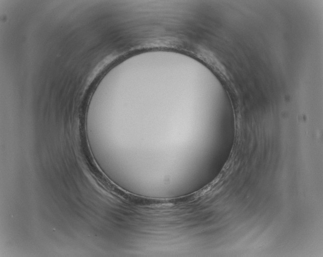 X0000072990108200607211041