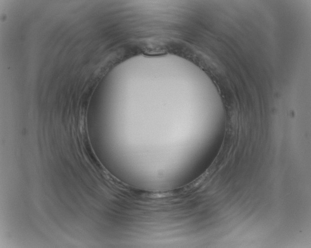 X0000072990129200607211040