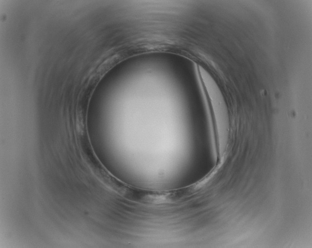 X0000072990170200607211040