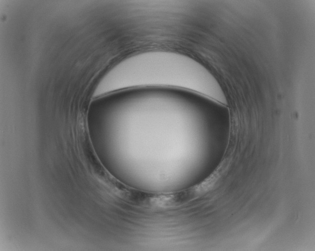 X0000072990172200607211040