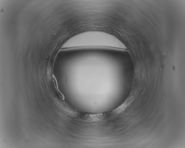 X0000072990188200607211040