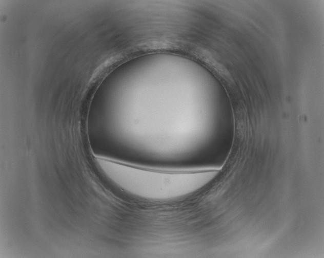 X0000072990207200607211039