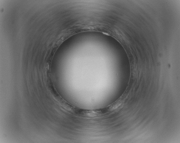 X0000072990229200607211039