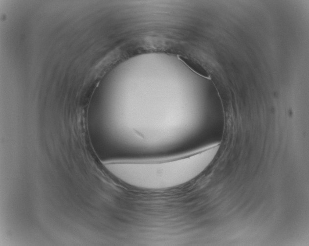 X0000072990233200607211039