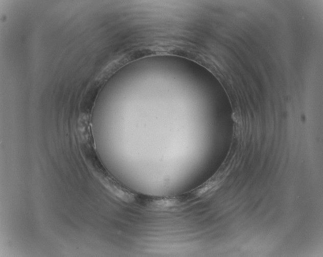 X0000072990237200607211039