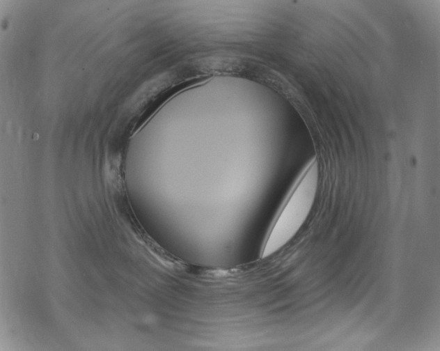 X0000072990239200607211039