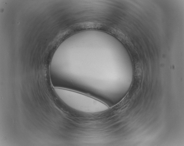 X0000072990255200607211038