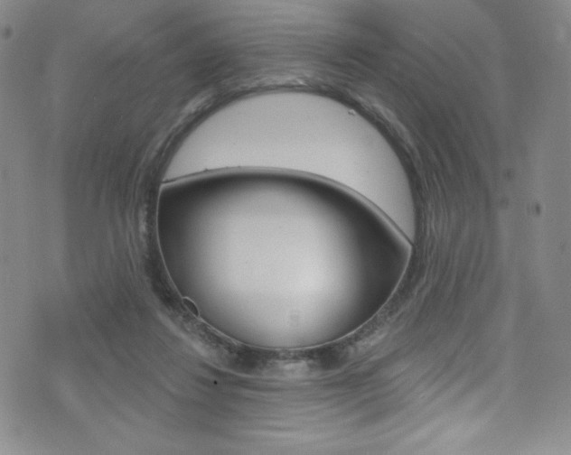 X0000072990260200607211038