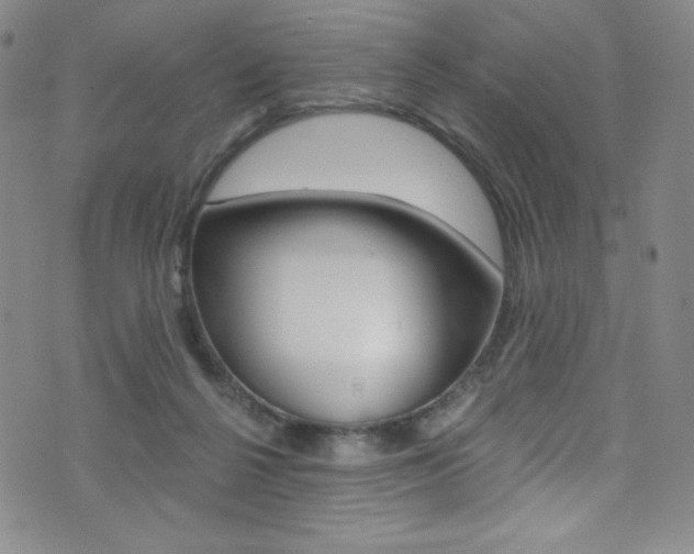 X0000072990264200607211038