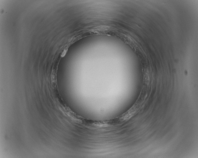 X0000072990284200607211039