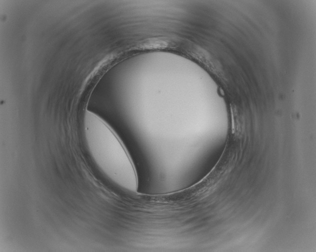 X0000072990300200607211038