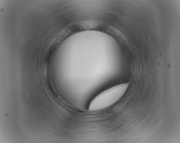 X0000072990315200607211037