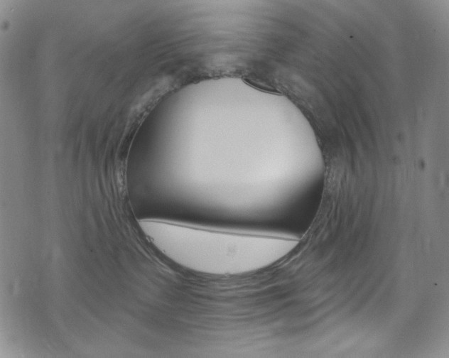 X0000072990335200607211037