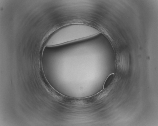X0000072990349200607211036
