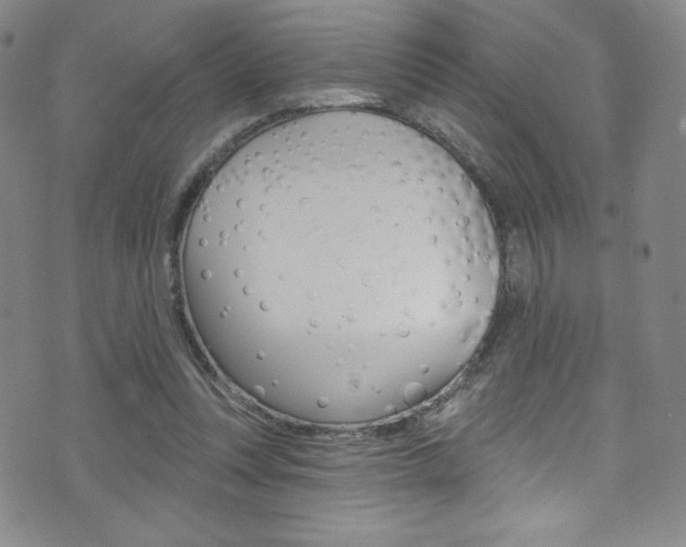 X0000072990351200607211036