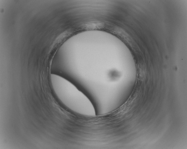 X0000072990357200607211037