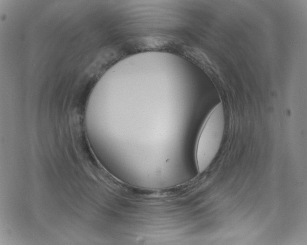 X0000072990366200607211037
