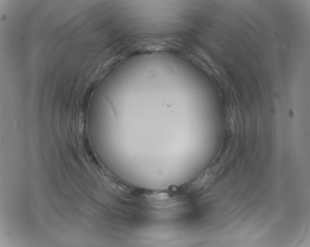 X0000072990374200607211037