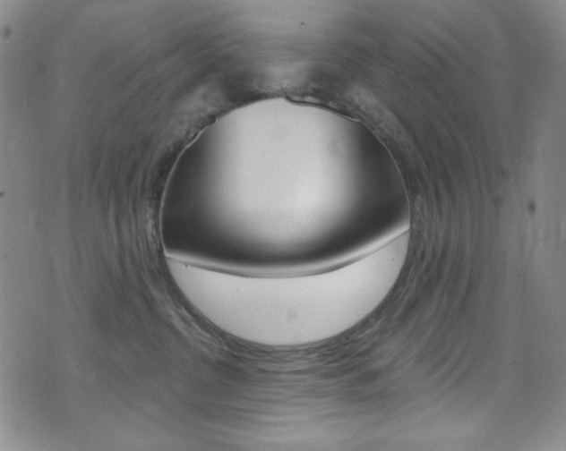X0000072990380200607211037